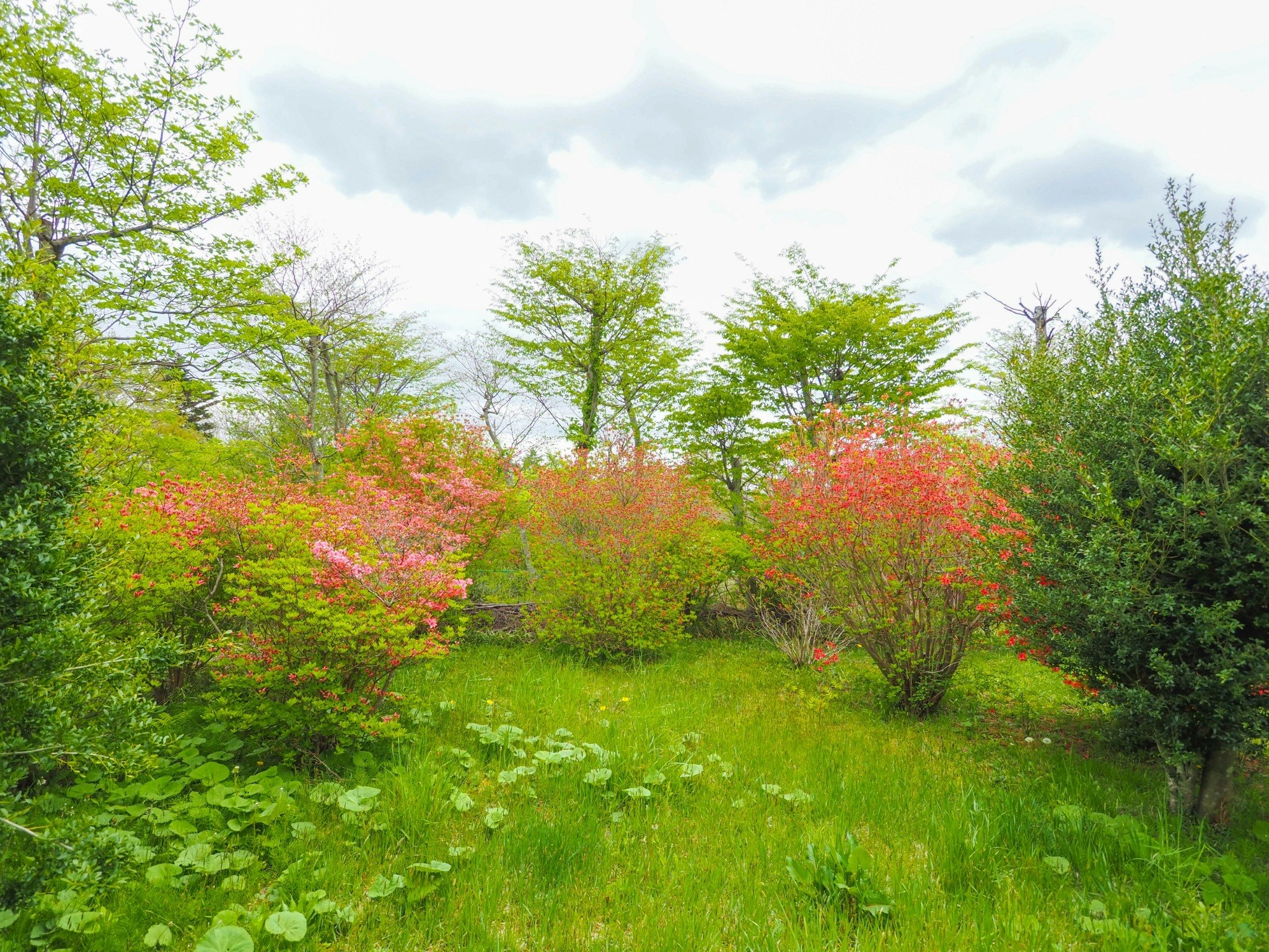 那須の杜湯本の別荘。鹿の湯まで徒歩15分。デッキでのBBQ。花に囲まれた別荘。